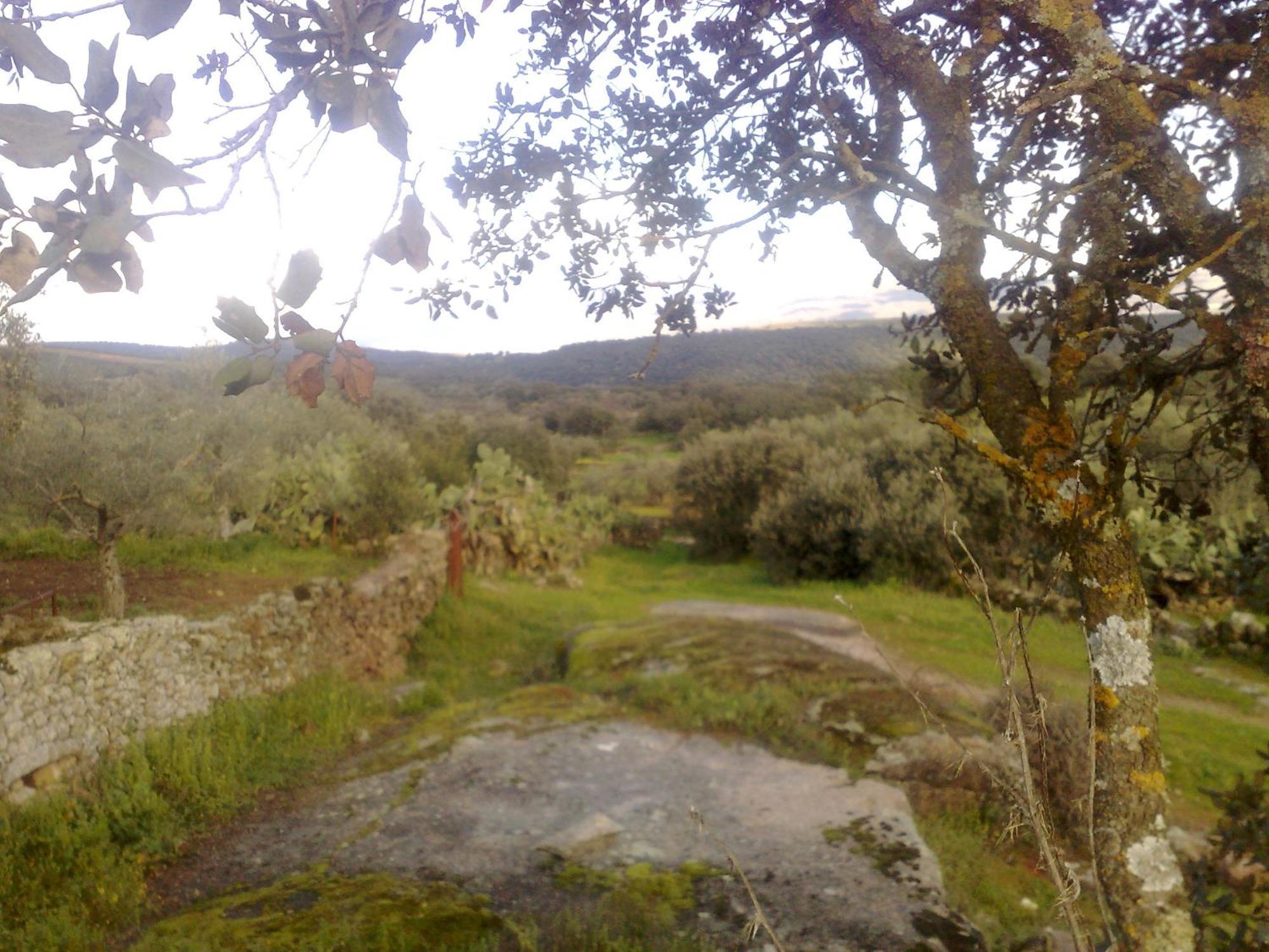 Apartamentos El Jardin Del Poeta Guijo de Granadilla Esterno foto
