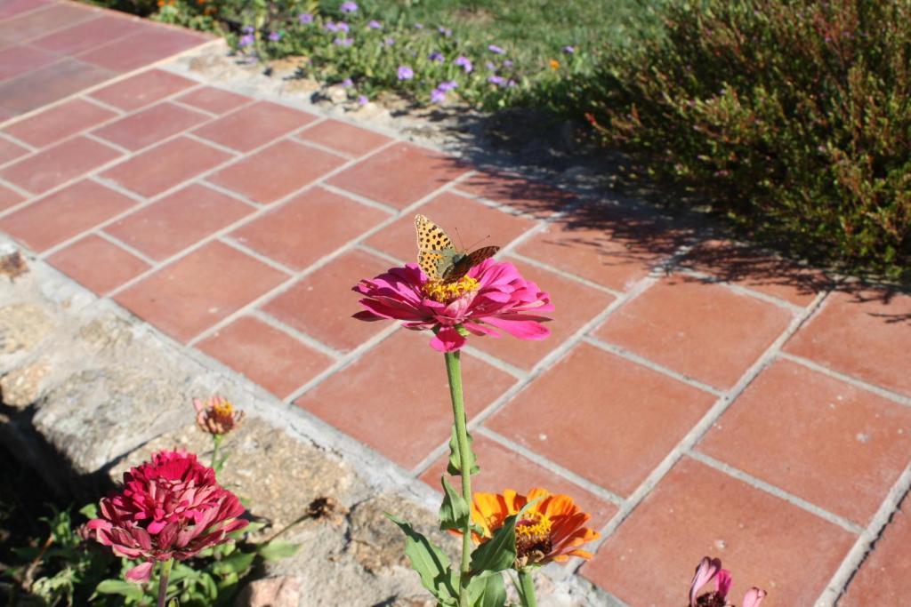 Apartamentos El Jardin Del Poeta Guijo de Granadilla Esterno foto