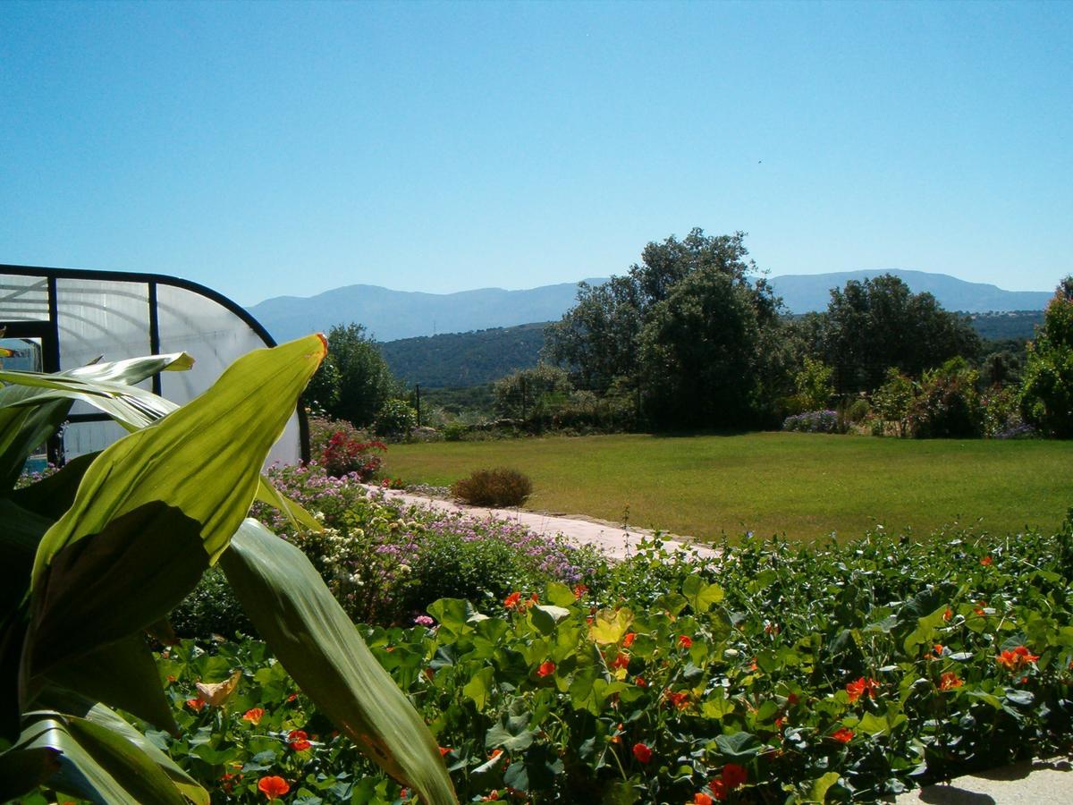 Apartamentos El Jardin Del Poeta Guijo de Granadilla Esterno foto