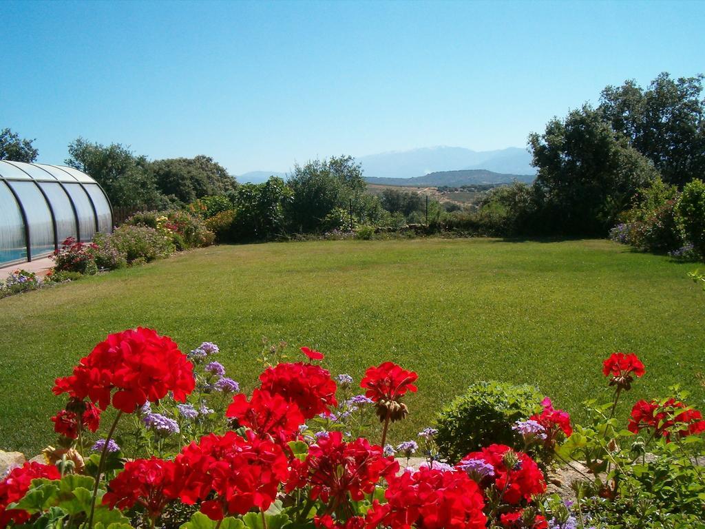 Apartamentos El Jardin Del Poeta Guijo de Granadilla Esterno foto